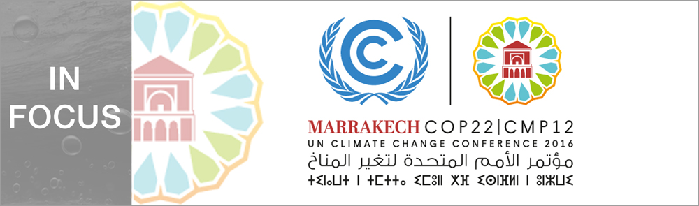 COP22_in focus_banner (2).jpg