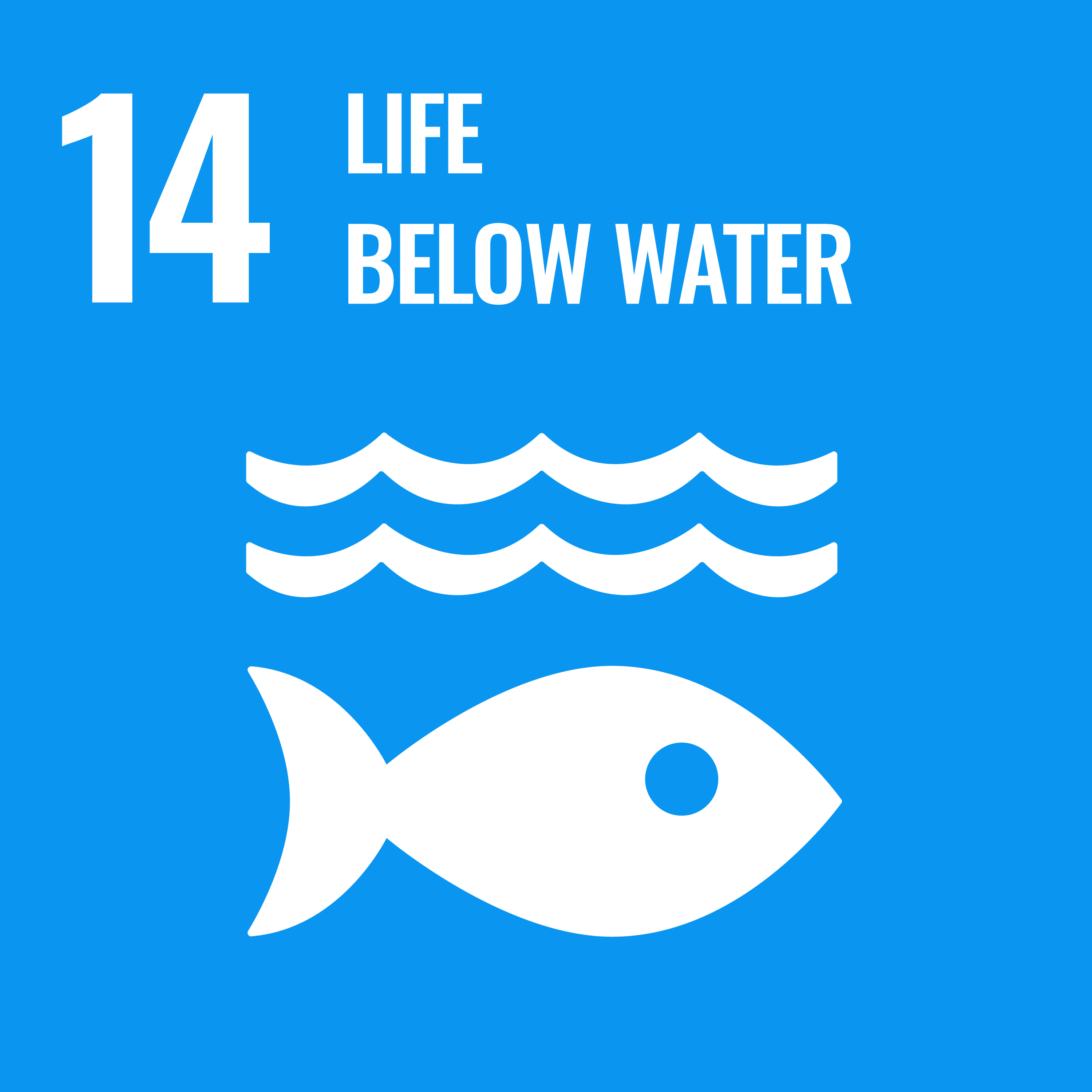 SDG 14.png